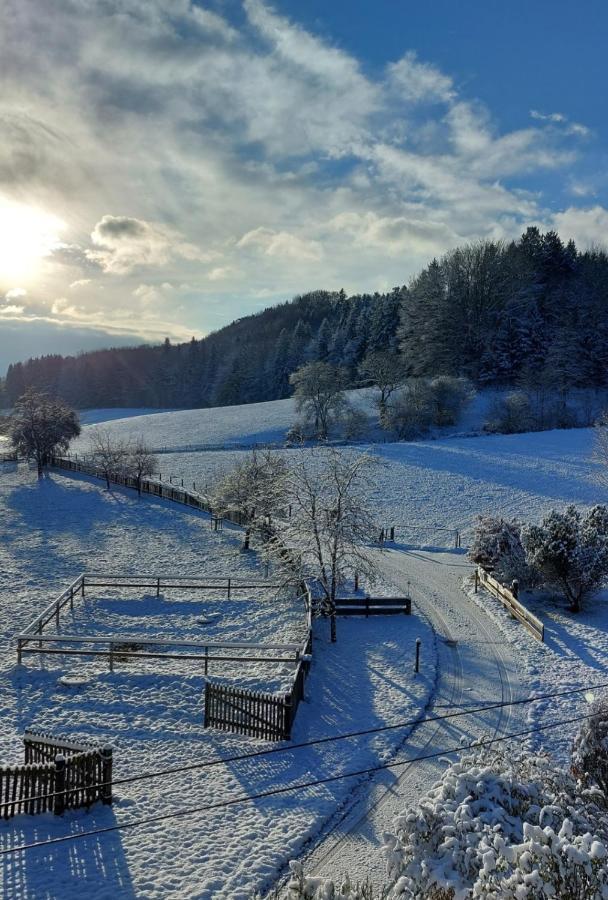 Auf Dem Werteshof Peißenberg